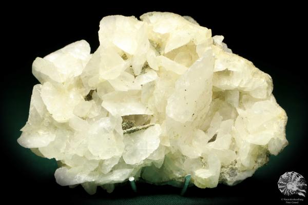 Pyrit XX & Calcit XX auf Fluorit (20218) ein Mineral aus Kasachstan | Mineralien | Weltweit