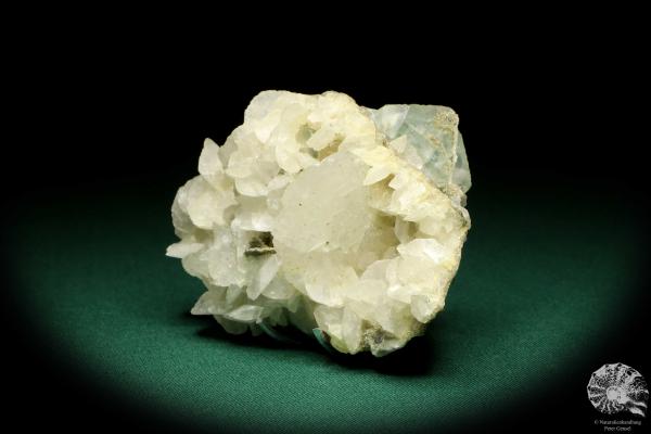 Pyrit XX & Calcit XX auf Fluorit (20218) ein Mineral aus Kasachstan | Mineralien | Weltweit