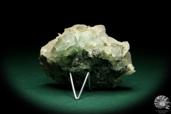 Pyrit XX & Calcit XX auf Fluorit (20218) ein Mineral aus Kasachstan | Mineralien | Weltweit