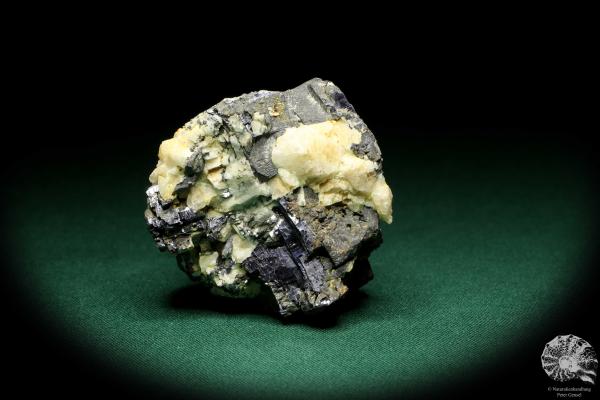 Galenit XX (20219) ein Mineral aus Deutschland | Mineralien | aus Deutschland