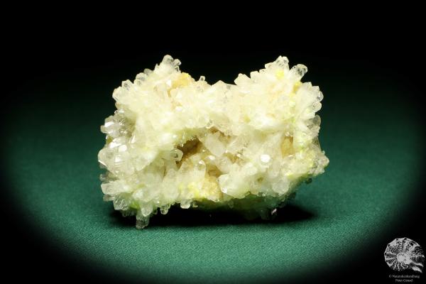 Celestine XX on Sulfur (20223) a mineral from Poland | Minerals | Global