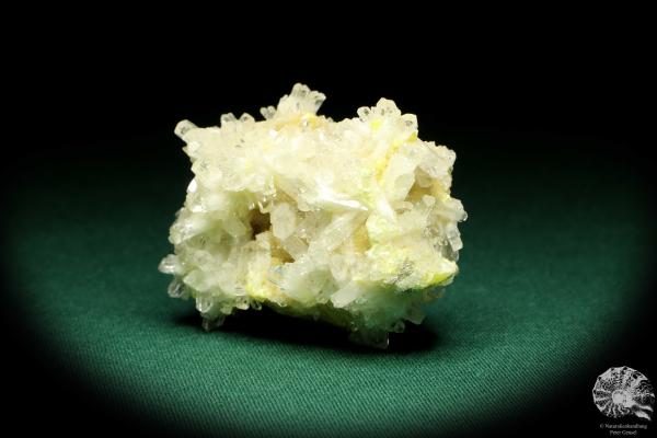 Celestine XX on Sulfur (20223) a mineral from Poland | Minerals | Global