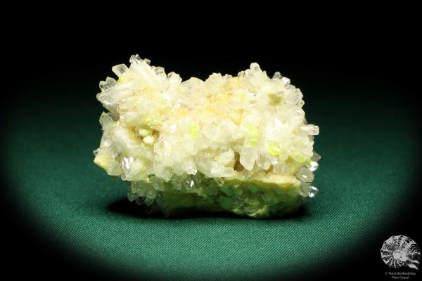 Celestine XX on Sulfur (20223) a mineral from Poland | Minerals | Global