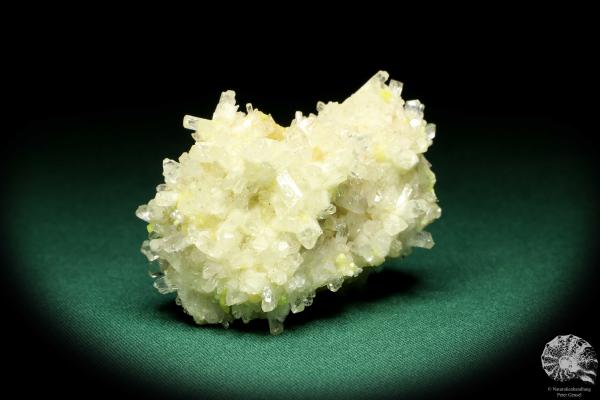 Celestine XX on Sulfur (20223) a mineral from Poland | Minerals | Global