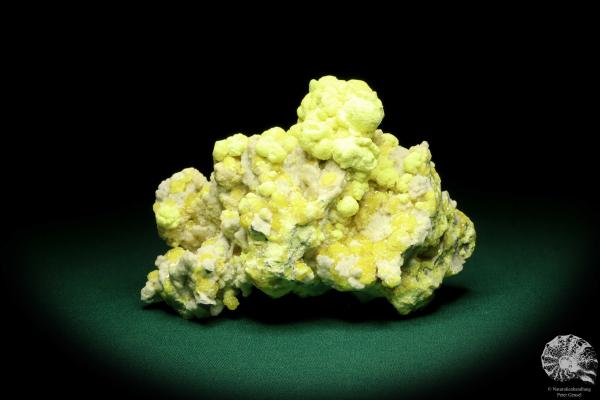 Schwefel XX (20228) ein Mineral aus Polen | Mineralien | Weltweit