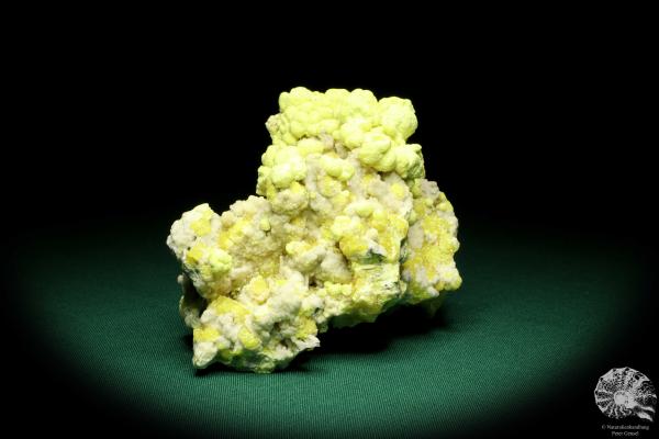 Schwefel XX (20228) ein Mineral aus Polen | Mineralien | Weltweit