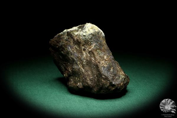 Astrophyllit XX (20231) ein Mineral aus Russland | Mineralien | Weltweit