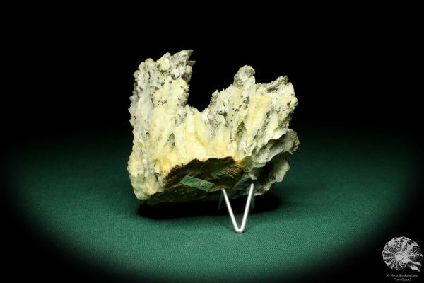 Barite XX & Pyrite XX (20232) a mineral from Romania | Minerals | Global