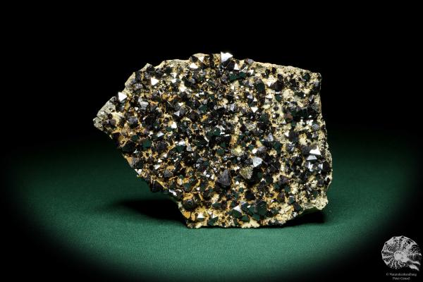 Magnetite XX (20233) a mineral from Bolivia | Minerals | Global