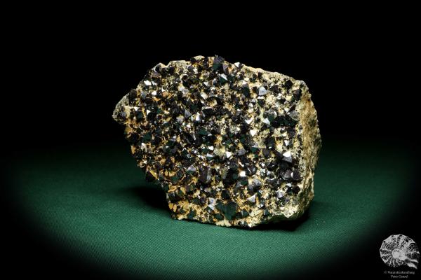 Magnetite XX (20233) a mineral from Bolivia | Minerals | Global