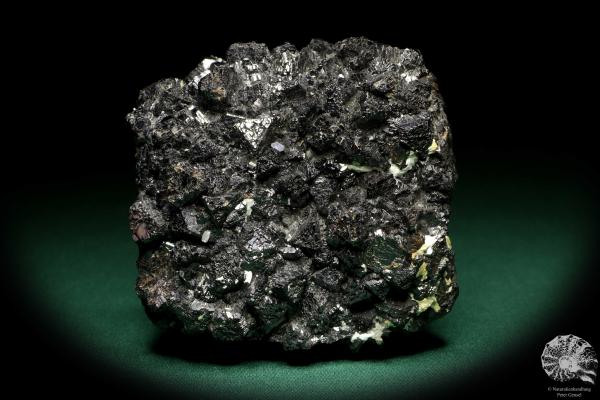 Sphalerit XX (20234) ein Mineral aus Rumänien | Mineralien | Weltweit