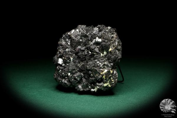 Sphalerit XX (20234) ein Mineral aus Rumänien | Mineralien | Weltweit