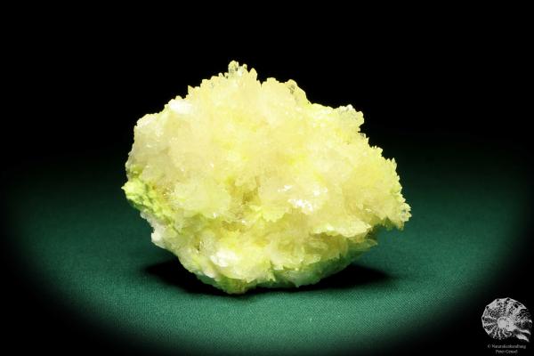 Celestine XX on Sulphur XX (20240) a mineral from Poland | Minerals | Global