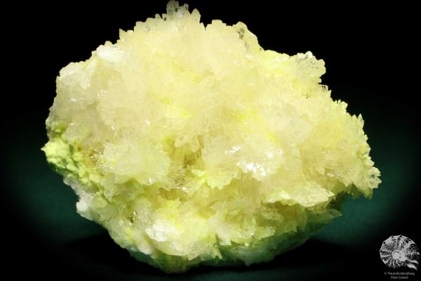 Coelestin XX auf Schwefel XX (20240) ein Mineral aus Polen | Mineralien | Weltweit