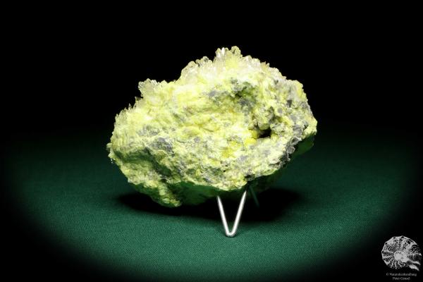 Celestine XX on Sulphur XX (20240) a mineral from Poland | Minerals | Global