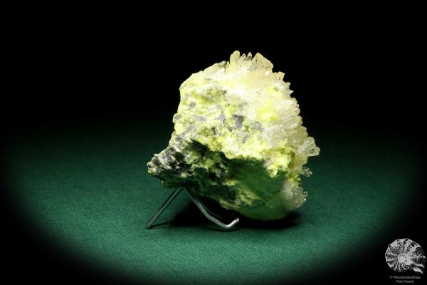 Celestine XX on Sulphur XX (20240) a mineral from Poland | Minerals | Global