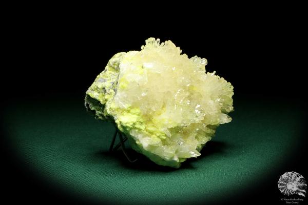 Celestine XX on Sulphur XX (20240) a mineral from Poland | Minerals | Global