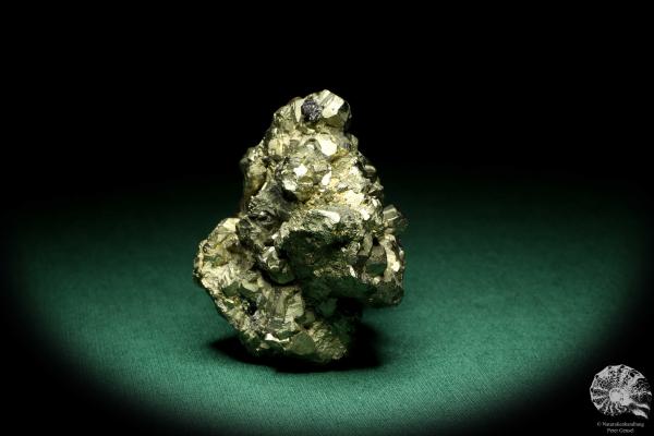 Pyrite XX (20242) a mineral from Italy | Minerals | Global