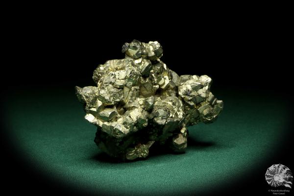 Pyrite XX (20242) a mineral from Italy | Minerals | Global