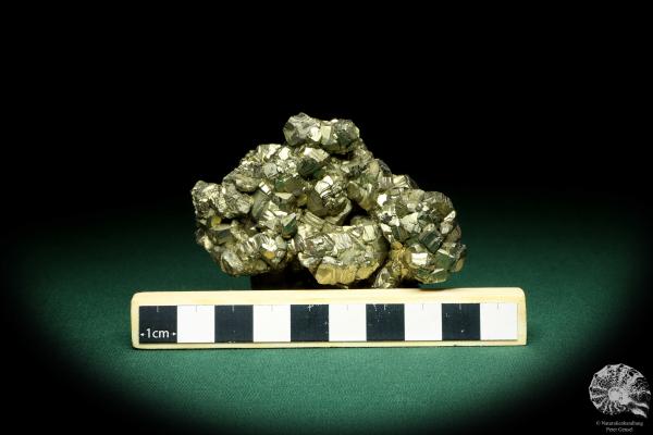 Pyrit XX (20242) ein Mineral aus Italien | Mineralien | Weltweit