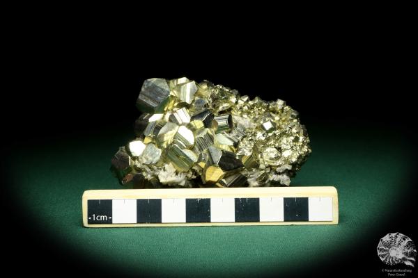 Pyrite XX (20243) a mineral from Peru | Minerals | Global