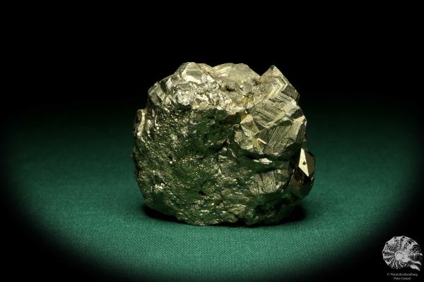 Pyrit XX (20248) ein Mineral aus Italien | Mineralien | Weltweit