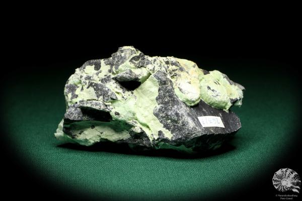 Wavellite XX (20250) a mineral from USA | Minerals | Global