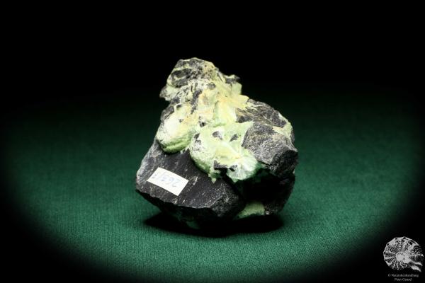 Wavellit XX (20250) ein Mineral aus USA | Mineralien | Weltweit