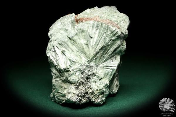 Klinochlor (20251) ein Mineral aus Russland | Mineralien | Weltweit