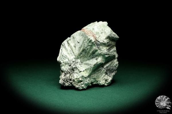 Klinochlor (20251) ein Mineral aus Russland | Mineralien | Weltweit