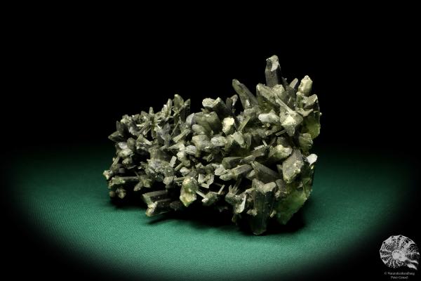 Gypsum XX (20252) a mineral from Germany | Minerals | From Germany