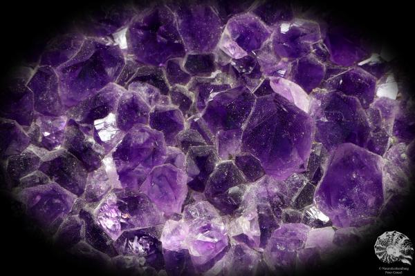 Amethyste XX (20253) a mineral from Brazil | Minerals | Global