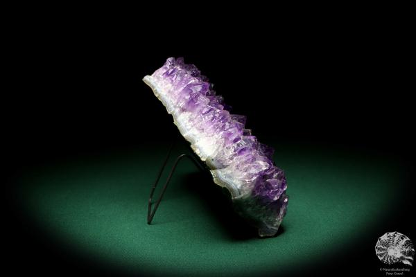 Amethyste XX (20253) a mineral from Brazil | Minerals | Global