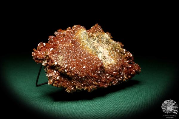 Vanadinit XX (20254) ein Mineral aus Marokko | Mineralien | Weltweit