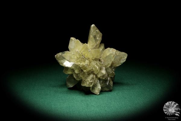 Calcit XX (20256) ein Mineral aus Deutschland | Mineralien | aus Deutschland