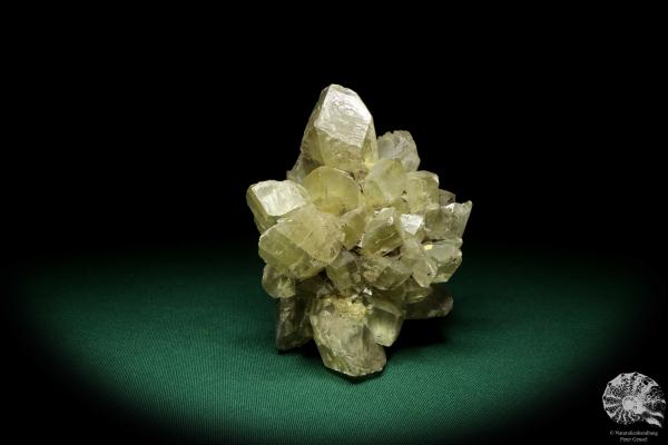 Calcit XX (20256) ein Mineral aus Deutschland | Mineralien | aus Deutschland