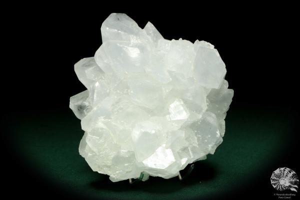 Coelestin XX (20258) ein Mineral aus Turkmenistan | Mineralien | Weltweit