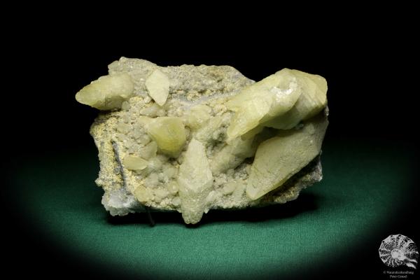 Calcite XX (20259) a mineral from Serbia | Minerals | Global