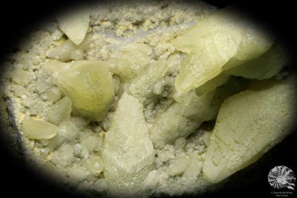 Calcite XX (20259) a mineral from Serbia | Minerals | Global