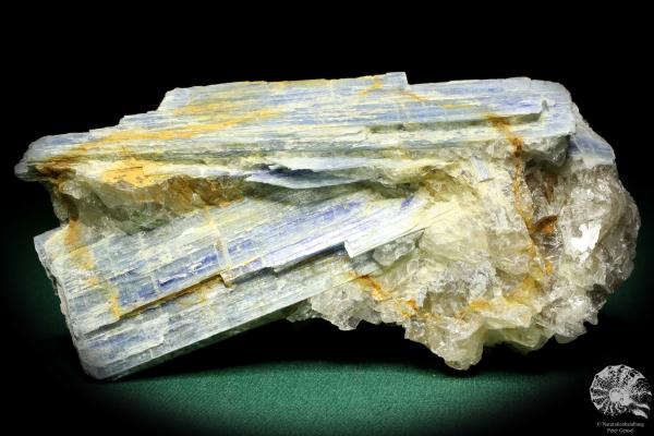 Kyanit (20261) ein Mineral aus Südamerika | Mineralien | Weltweit