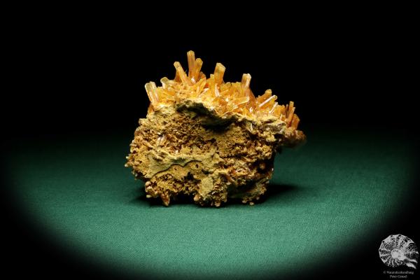 Gypsum XX (20263) a mineral from Germany | Minerals | From Germany