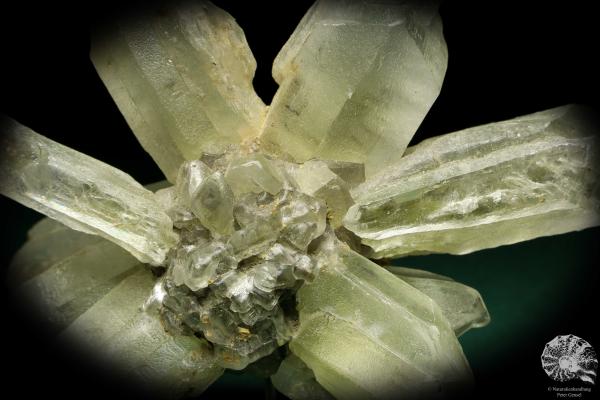 Gypsum XX (20265) a mineral from Germany | Minerals | From Germany