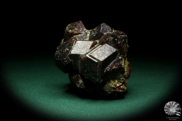 Almandin XX (20275) ein Mineral aus Österreich | Mineralien | Weltweit