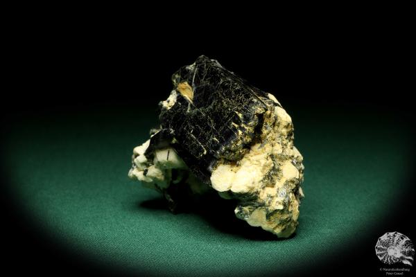 Aegirin XX (20281) ein Mineral aus Afrika | Mineralien | Weltweit