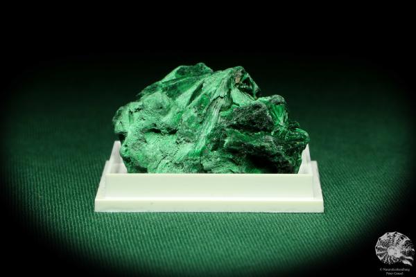 Malachite XX (20436) a thumbnail from DR Congo | Minerals | Thumbnails