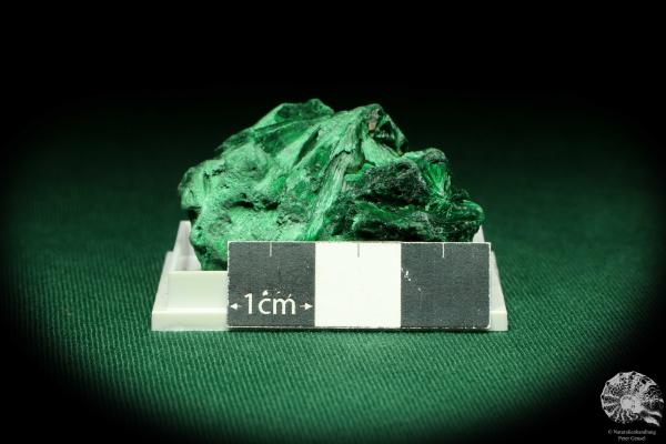 Malachite XX (20436) a thumbnail from DR Congo | Minerals | Thumbnails