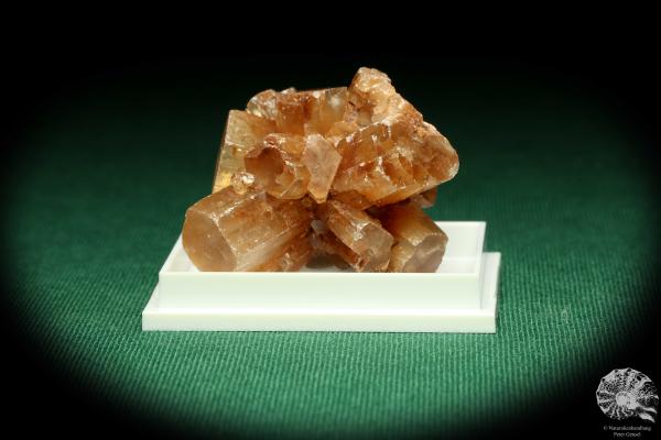 Aragonite XX (20438) a thumbnail from Morocco | Minerals | Thumbnails