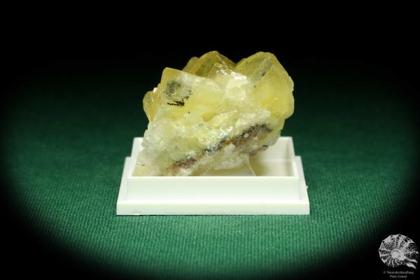 Fluorite XX - Spain - (20445)