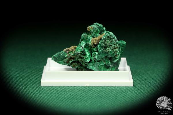 Malachite XX (20447) a thumbnail from DR Congo | Minerals | Thumbnails