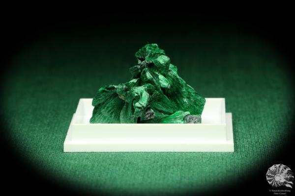 Malachite XX (20450) a thumbnail from DR Congo | Minerals | Thumbnails